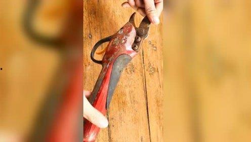 国产修枝工具视频,高效便捷，助力园艺养护新篇章