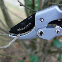 国产修枝工具视频,高效便捷，助力园艺养护新篇章