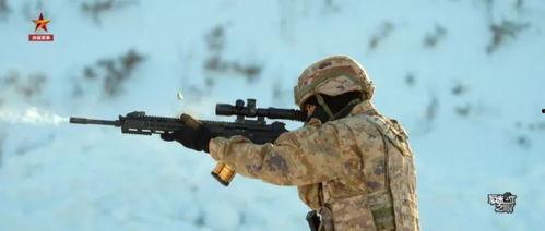 国产新型精准步枪真帅视频,震撼演绎中国军工实力