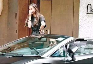 国产早期小孩变身车视频,穿梭时光的童年回忆