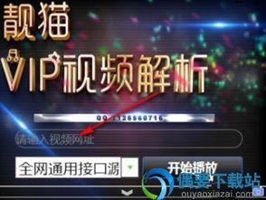 国产视频在线vip线观,解锁独家影视盛宴