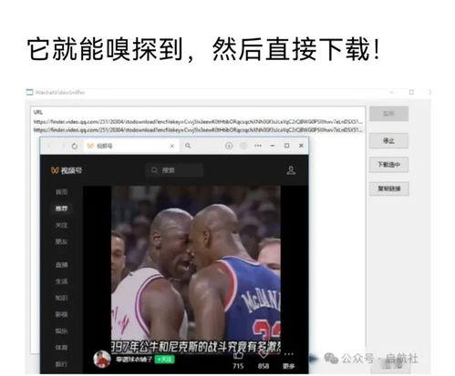 国产视频外漏种子下载,风险与应对策略