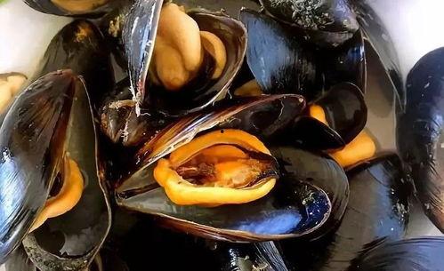 哪个国产海虹好吃点啊视频,跟着“好吃点”视频解锁最佳口感