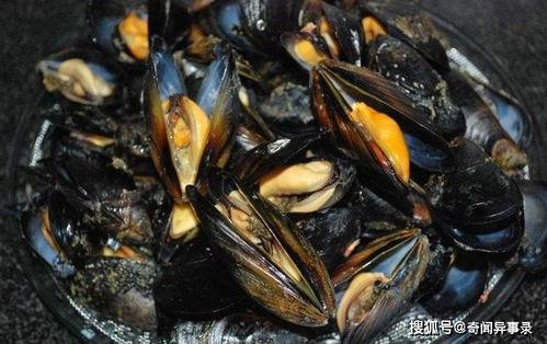 哪个国产海虹好吃点啊视频,跟着“好吃点”视频解锁最佳口感