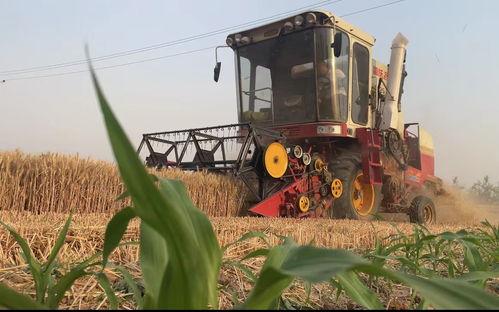 中国国产收割机视频播放,展现中国农业现代化风采