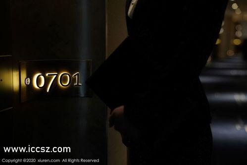 长视频国产精品,匠心独运，视听盛宴