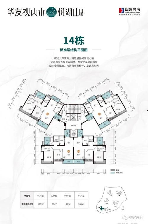 国产青鱼万部高清视频,探寻中华水族之美  第2张