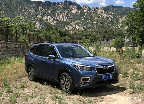 国产森林人视频,探寻自然之美，驾驭野性征途