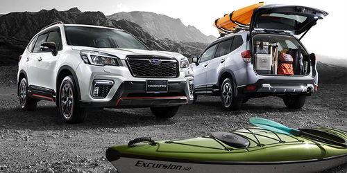 国产森林人视频,探寻自然之美，驾驭野性征途