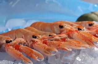 国产海螯虾开箱视频播放,新鲜美味尽收眼底