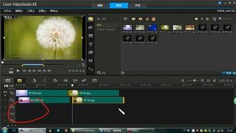 国产精品8x视频,探索视觉盛宴的极致魅力 第1张 国产精品8x视频,探索视觉盛宴的极致魅力 第1张