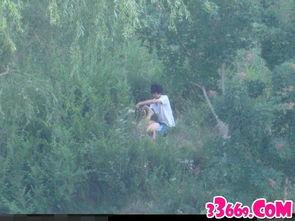 国产情侣野外视频在线,国产情侣野外私密瞬间大揭秘