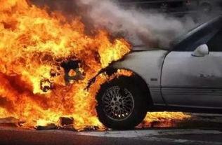 国产汽车渡劫事件视频,极限测试见证品质蜕变