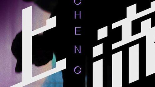 国产秘密入口视频网站,揭秘热门视频网站背后的故事