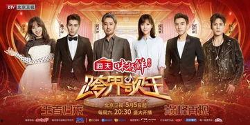 国产经典亲情音乐视频,国产经典音乐视频温情回顾