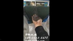 国产sf在线视频免费观看,免费在线观看科幻影视，探索未知世界