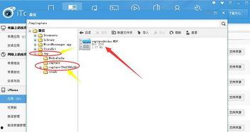 微信小视频国产路线
