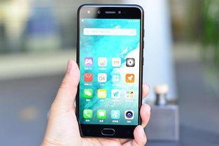 国产青春手机在线视频