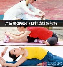 外国产后瑜伽视频大全,全方位恢复身心，重拾活力与自信
