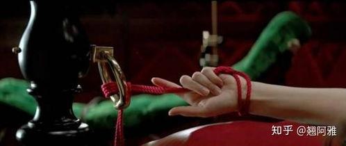 国产sm裸缚调教视频,禁忌之恋的私密视角