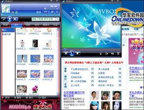 国产视频处理软件,引领影像创作新潮流
