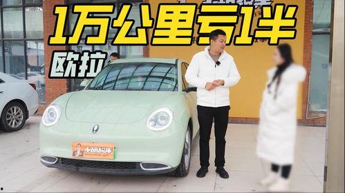 国产小电车对比图片视频  第2张